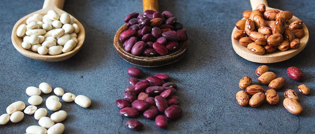 Why Plant Protein is Better for You Than Animal Protein
