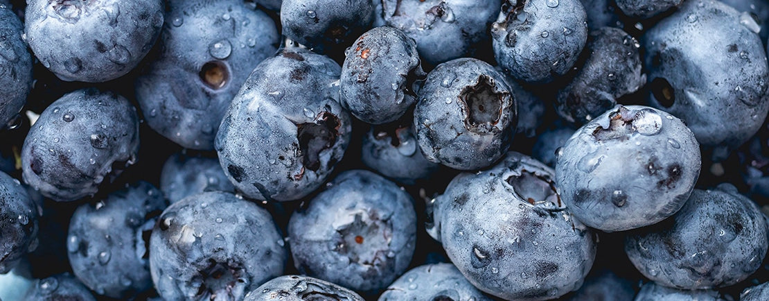 lush blueberries