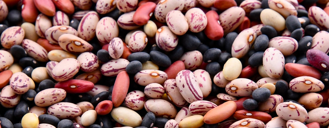 close up of a variety of dried beans