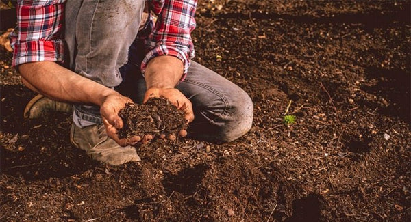 man holding organic soil