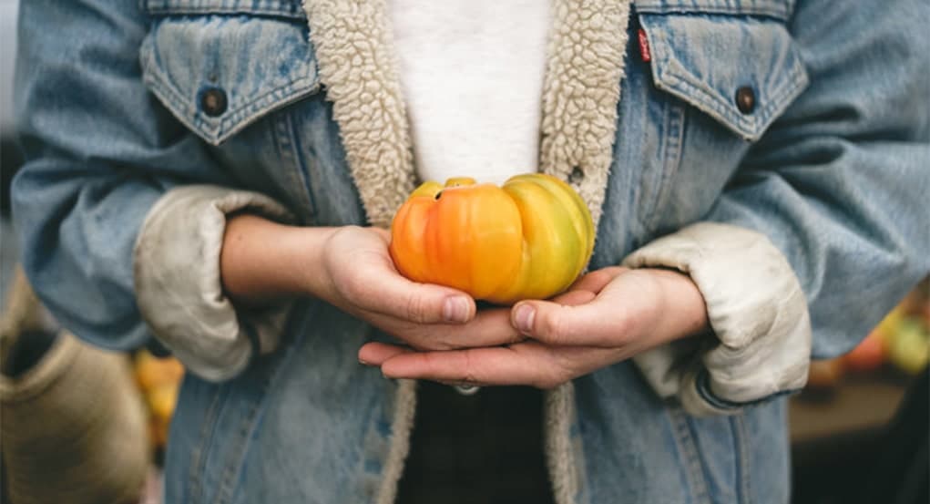 tomato embraced in palms of hand