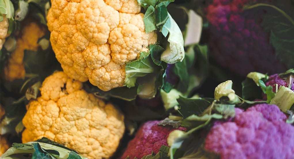 Blog thumbnail - Why Plants?