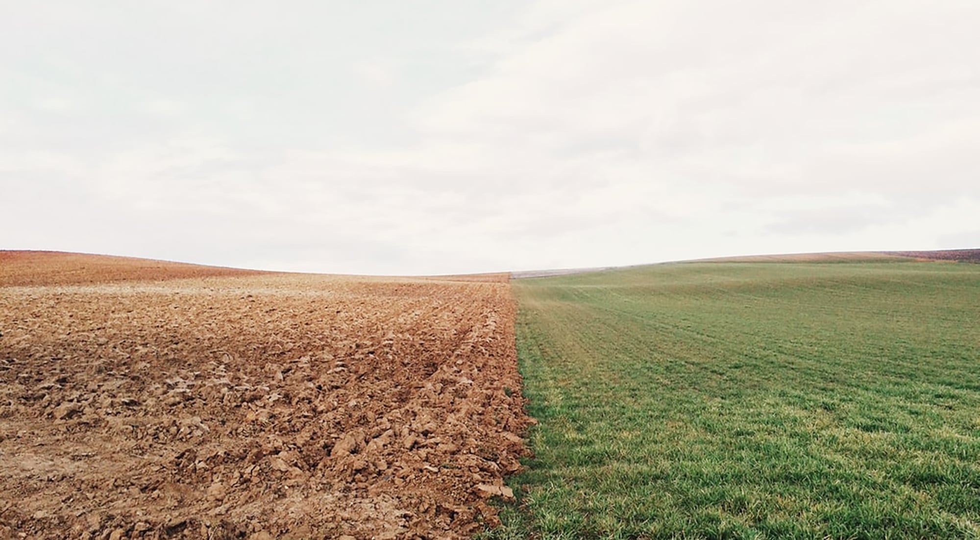 Climate Change & Diet: Easy Swaps You Can Make Right Now