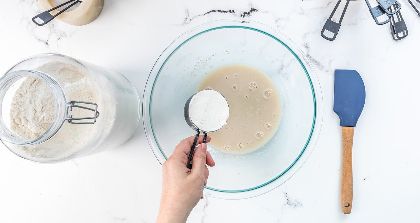 Cooking 101 with Vegan Substitutes