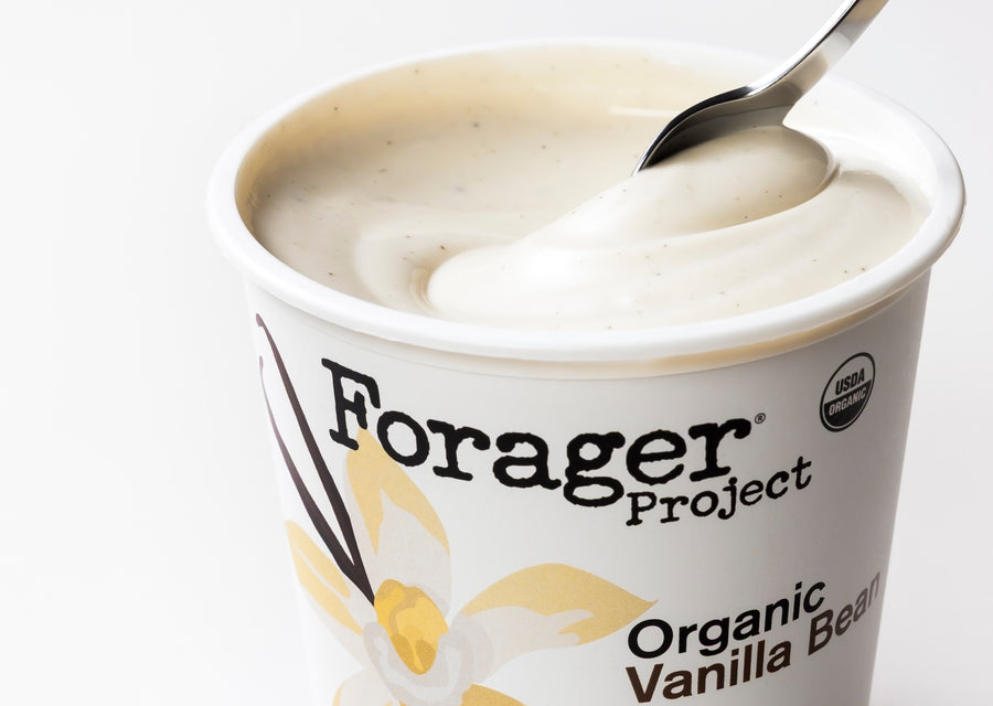 Forager Project Organic Vanilla Bean yogurt with a spoon inside on a white background