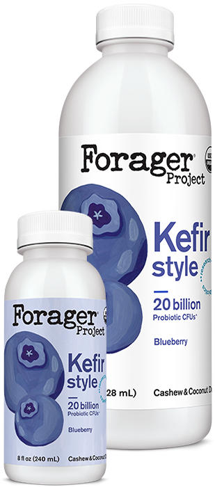 Blueberry Cashew & Coconut Kefir Style Drink