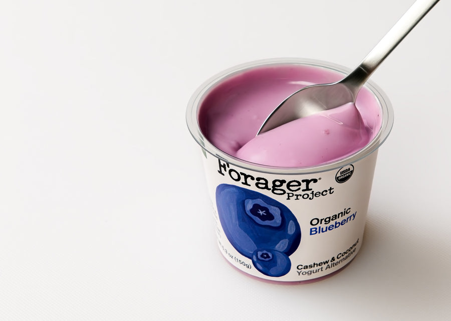 Container of Forager Project Organic Blueberry yogurt with a spoon inside on a white background