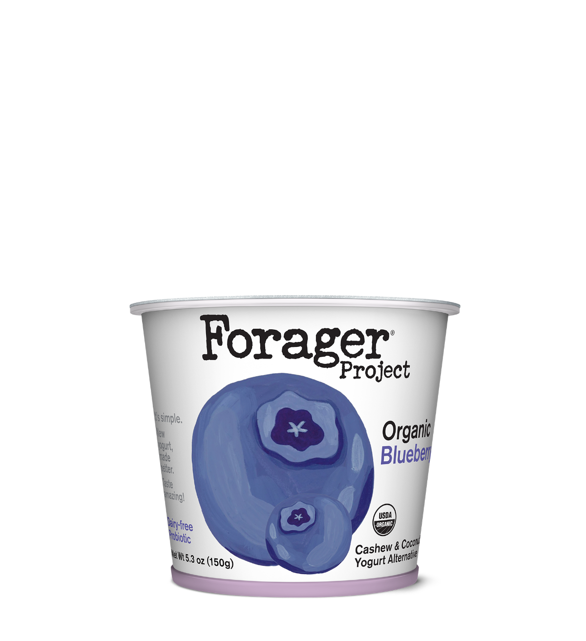 Blueberry Cashew & Coconut YogurtFeatured Image