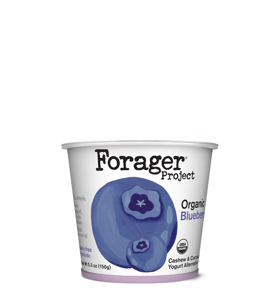 Blueberry Cashew & Coconut YogurtFeatured Image