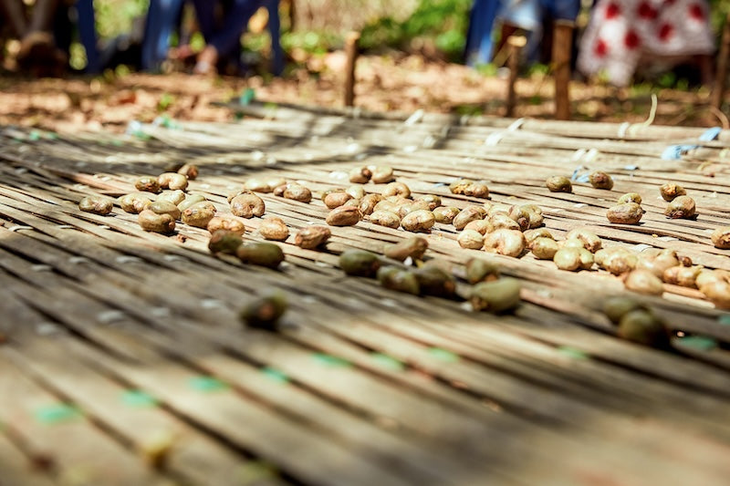 Hand-harvested from certified organic orchards, our cashews boast a naturally creamy texture and a subtly sweet, buttery flavor. Rich in heart-healthy monounsaturated fats, plant-based protein, and essential minerals like magnesium and copper, they make for a guilt-free snack or a versatile ingredient in granolas, trail mixes, and dairy-free spreads.