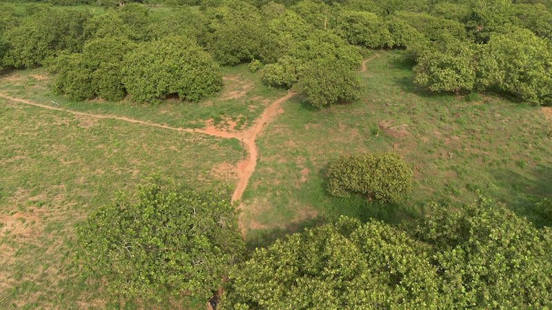 Forager Project Cote D Voire