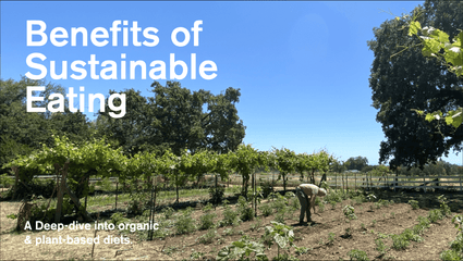 maybe an image about Explore the numerous benefits of organic foods and plant-based eating styles can have on human and planetary health.