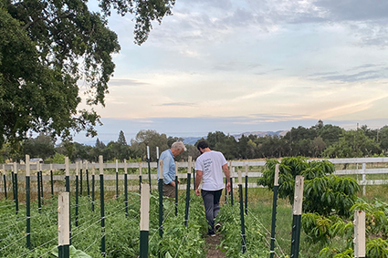 Forager Project’s evolution is explored, highlighting its commitment to innovation, plant-based dairy and long-term impact.