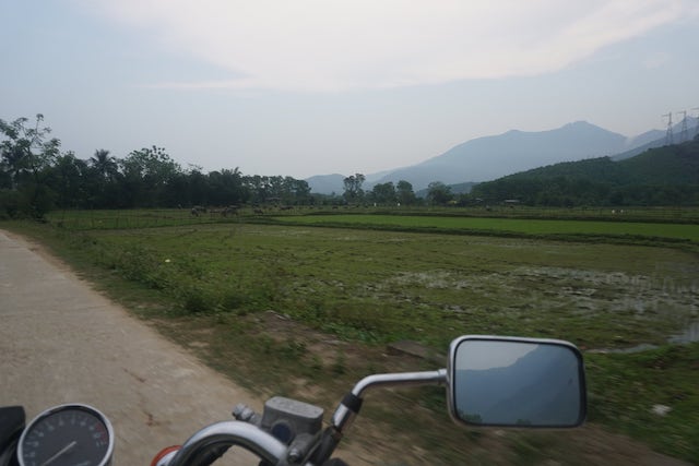 a country field in vietnam as viewed from a motorcycle