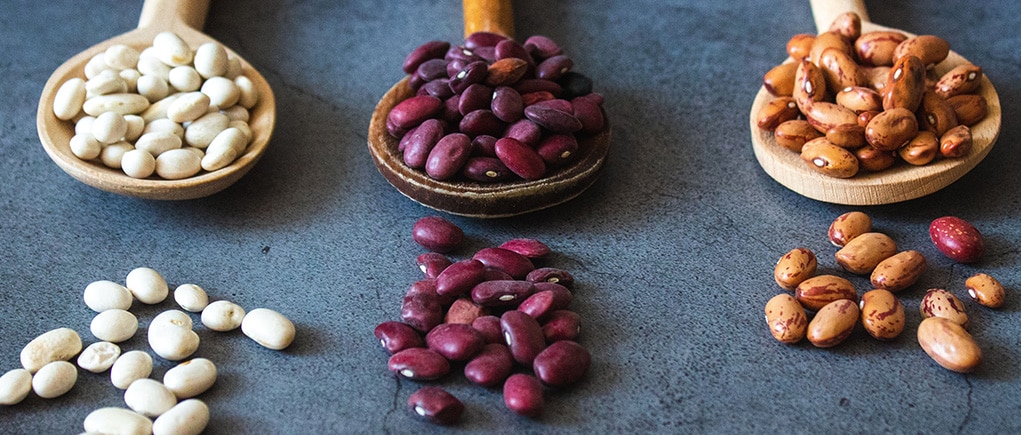 White beans, red beans and brown beans on wooden spoons.