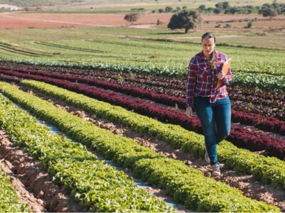 A person walking through their sustainable farm.